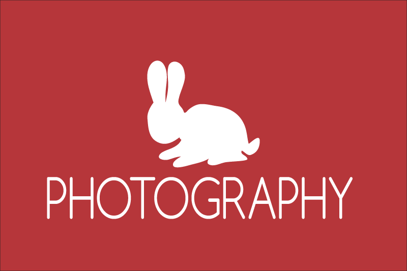 PHOTOGRAPHY